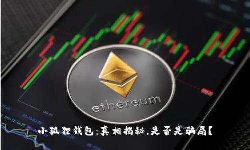 小狐狸钱包：真相揭秘，是否是骗局？